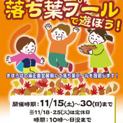落ち葉プールであそぼう！11月15日～30日まで