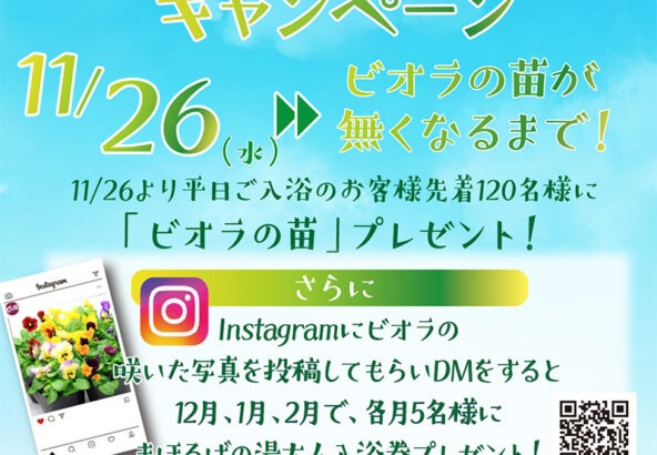 お風呂に入ってビオラを育てようキャンペーン