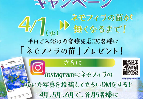 お風呂に入ってネモフィラを育てようキャンペーン