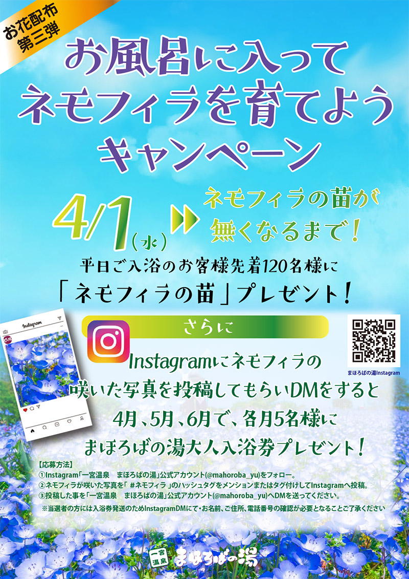 お風呂に入ってネモフィラを育てようキャンペーン