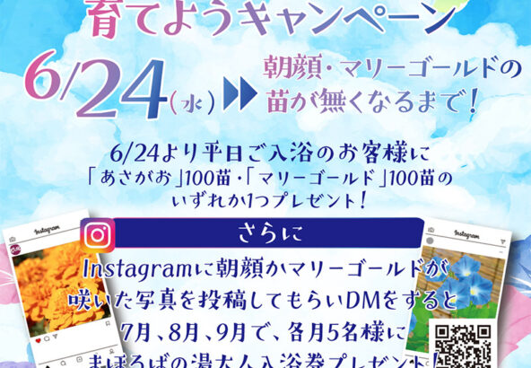 お風呂に入って朝顔・マリーゴールドを育てようキャンペーン